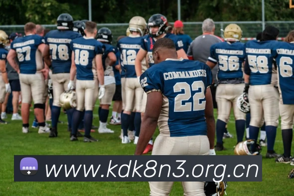 米兰app官方正版官网APP 封面图